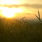 Nouveaux départs